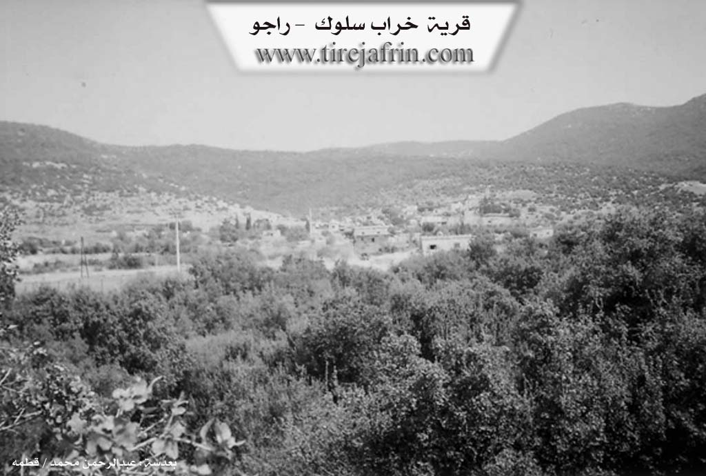 Photo of Xirabî Silûg